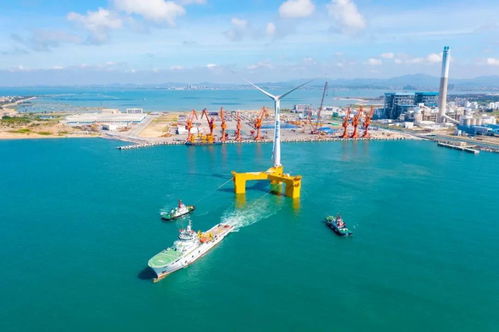 三峽集團發揚“三牛”精神，引領中國海上風電發展與航空國際貨運代理